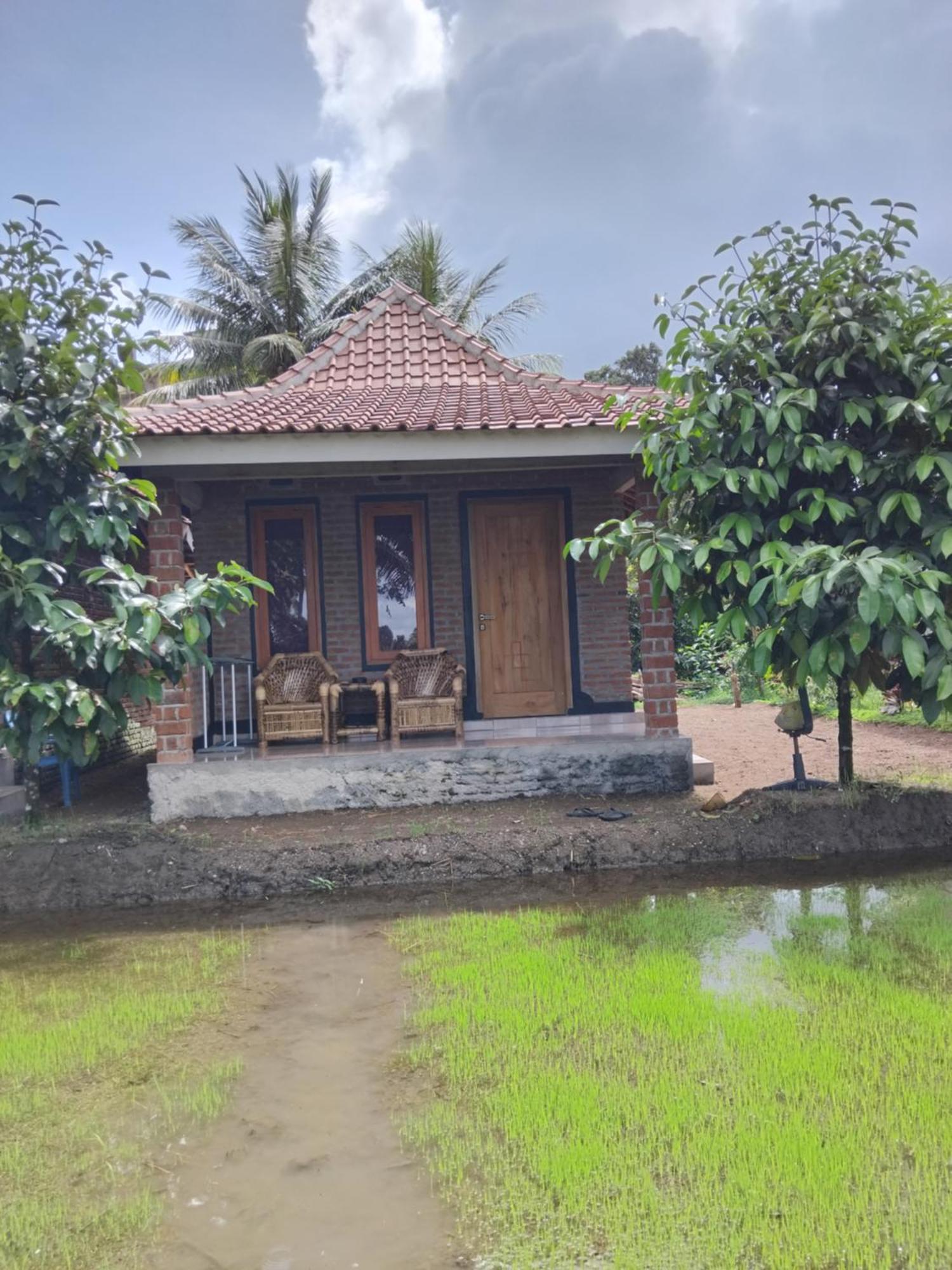 Tereng Wilis Bungalows Tetebatu Exterior foto
