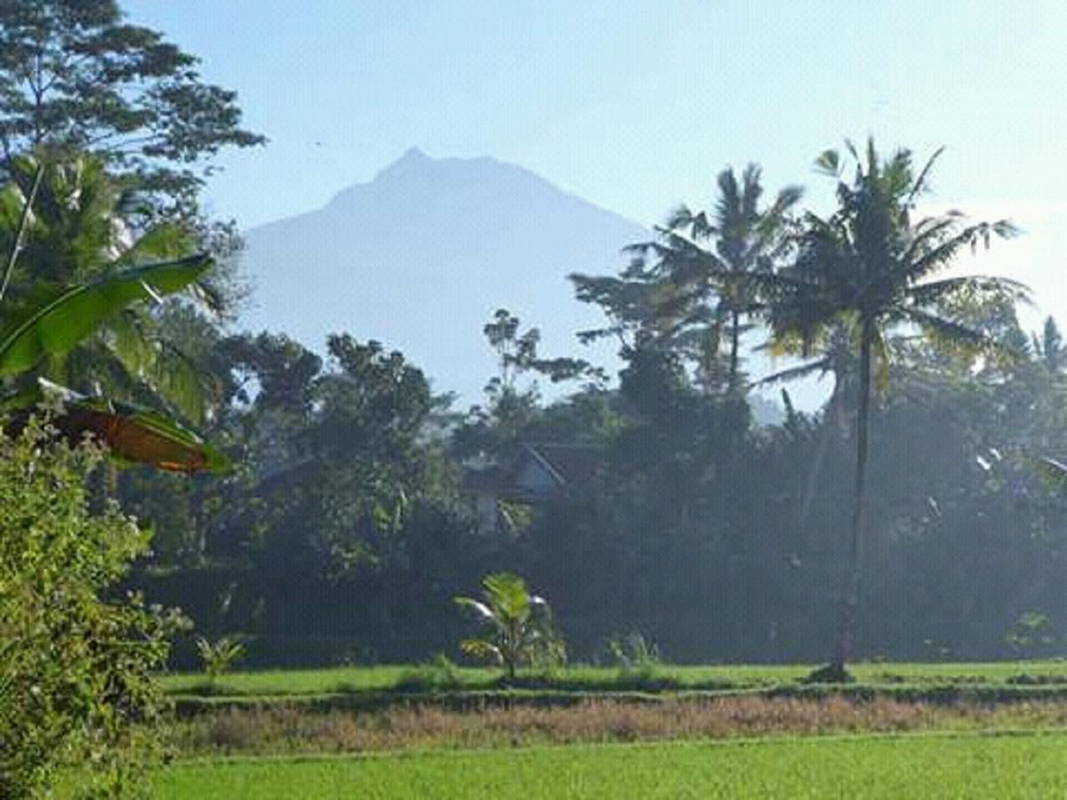 Tereng Wilis Bungalows Tetebatu Exterior foto